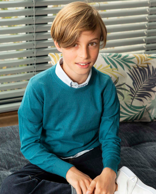 Pull col rond en coton/cachemire vert