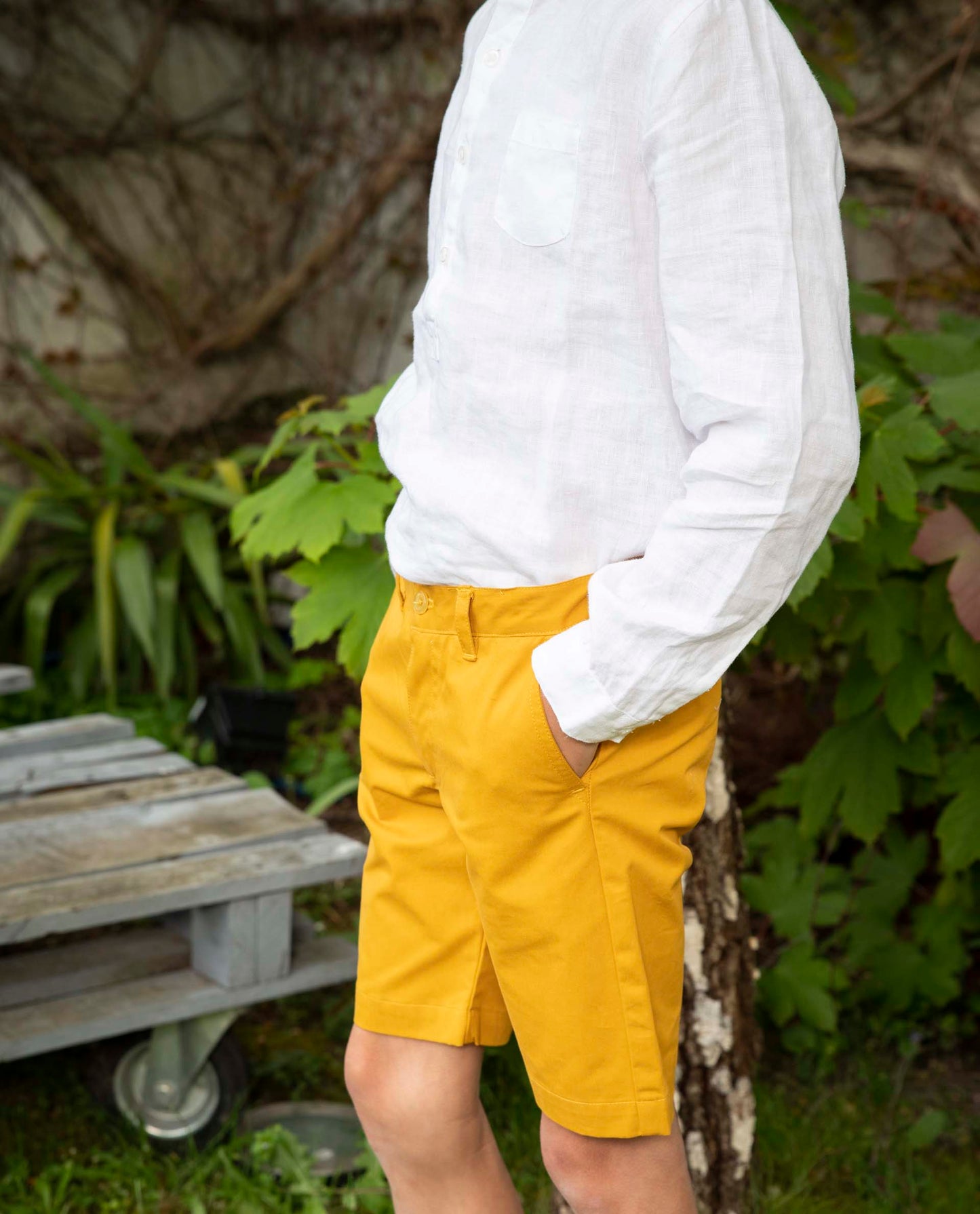 bermuda twill Jaune