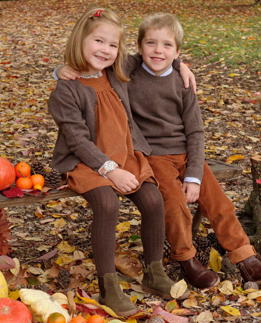 pull col rond 100 lwl Brun