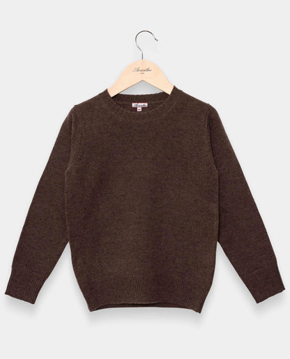 pull col rond 100 lwl Brun
